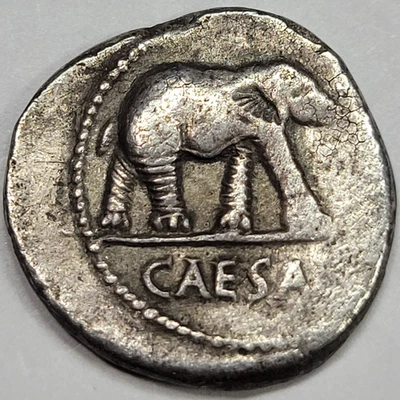 JULIUS CAESAR AR Denarius 49 BC Elephant Roman Republic Travelling Army *K40 - Image 1 of 4