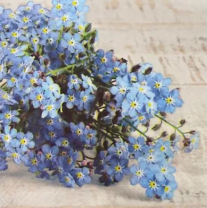 Dos servilletas de papel individuales para almuerzo decoupage flores no florales - Imagen 1 de 11