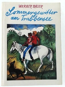 Werner Bauer: Sommergewitter am Trabbensee Werner, Bauer: - Bild 1 von 1