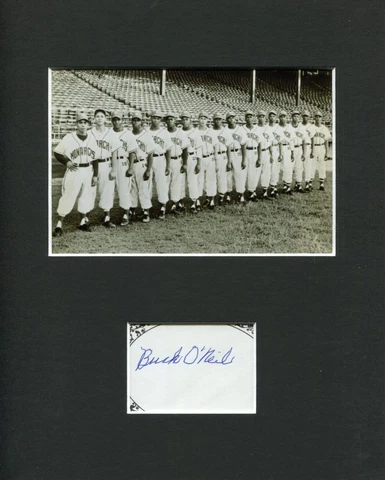 Buck O'Neil Kansas City Monarchs Negro League Chicago Cubs Signed Photo Display Cover