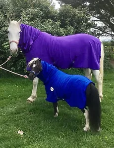 COMBO FLEECE COOLER RUGS ROYAL BLUE OR PURPLE 4'9" to 7'0" - Picture 1 of 1