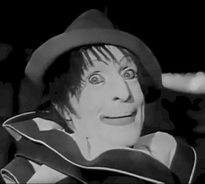 60 Old Rare Circus & Clowns Films - Over 8 Hours of Old Footage on DVD - Picture 1 of 12