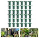  48 Pcs Cane Caps Plants for outside Protective Outdoor Protector