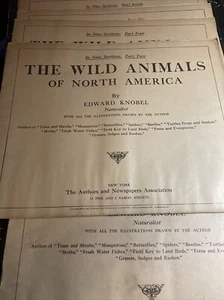 Antique magazines/ book/literature set.  wild animals of north america - Picture 1 of 6