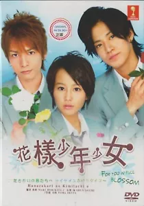 Japanese Drama DVD For You in Full Blossom - Ikemen Paradise 2007 English Sub - Picture 1 of 3
