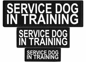 SERVICE DOG IN TRAINING Patch Reflective Tag for Dog Harness Service - Picture 1 of 4