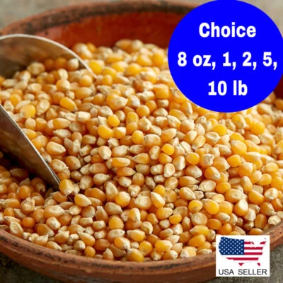 Extra Large Mushroom Popcorn Kernels, Non-GMO Made in US - Image 1 of 4