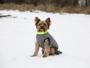 Abrigo acolchado Charmonix talla M abrigo de perro reversible 2 colores diferentes utilizables B11 - Imagen 1 de 5