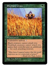 Visions ** 4x Elephant Grass x4 ** Mtg Magic (MP)