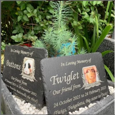 Grave Marker for Pets. Multiple sizes, + fittings + design proof available - Image 1 of 4