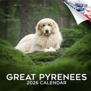 GREAT PYRENEES Wall Calendar 2026 DOG Animal PET Lover Gift - Picture 1 of 2