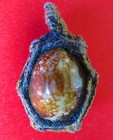 Amulett Thai Kaurimuscheln Bia Gae Kae Takrut Schutz vor schwarzer Magie