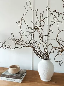 Real Decorative Dried Twisted Corylus Hazel Branches Wabi Sabi Twigs for Vase - Picture 1 of 19