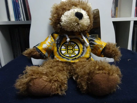 Boston Bruins Teddy Bear Hoodie Hodded Sweatshirt 12" tall NHL Good Stuff 2011 Cover