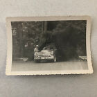Vintage Oldsmobile Car Tunnel in Large Tree Photo Photograph Snapshot Print