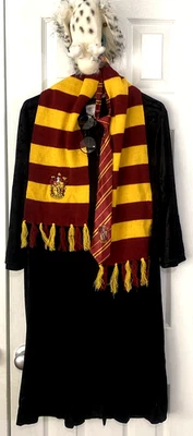 Disfraz de terciopelo Harry Potter bata con capucha, bufanda, corbata, gafas y felpa búho LG Foto 1 de 4