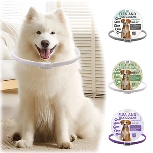 Pet Collar Protection FleaTick Collar For Large Small Dogs Cats - Picture 1 of 8