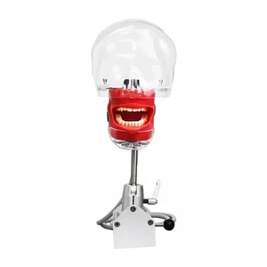 Dental Teaching Head Mold Oral Simulation Simple Head Mold Student Practice Head - Picture 1 of 9