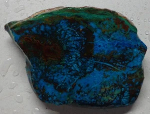 WRG- Shattuckite Slab 12 grams Namibia Lapidary Rough Chrysocolla Malachite - Picture 1 of 4