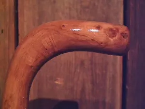 walking stick cane natural grown ROOT HANDLE for average size hands MADE IN USA - Picture 1 of 10