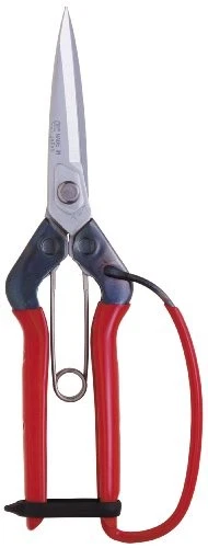 CHIKAMASA professional horticultural pine needles scissors T-710GDX - Image 1 of 1