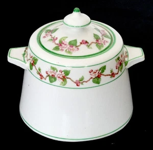 WILLIAM ADDERLEY Porcelain Dinnerware APPLE BLOSSOM Sugar Bowl & Lid / LONGTON - Picture 1 of 3