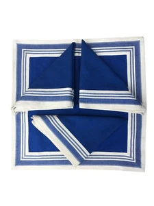 Pier 1 Imports Cloth Napkins Blue and Off White 4 Napkins - Picture 1 of 6