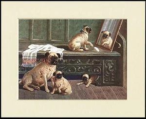 PUG MOTHER AND PUPPIES CHARMING DOG PRINT MOUNTED READY TO FRAME - Picture 1 of 1
