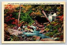 Hikers at Rainbow Falls Trail Rocky-Spur Trail Smoky Mountain Tennessee Postcard