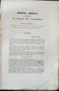 GIROFLE, GIROFLA et IL ETAIT UN' BERGERE dessins de STEINHEIL. Partition - Imagen 1 de 5