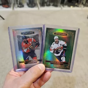 2022-23 UD Stature Photo Variant Aaron Ekblad 57/66 #73 Florida Panthers Champs - Picture 1 of 3