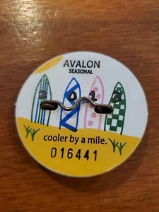 2013 Seasonal Beach Tag Avalon New Jersey Shore  - Picture 1 of 2