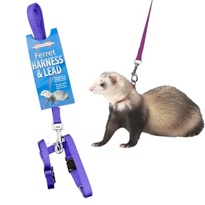 Marshall Ferret Harness and Lead Set Purple Nylon Small Animal Rabbit 3/8" - Picture 1 of 5