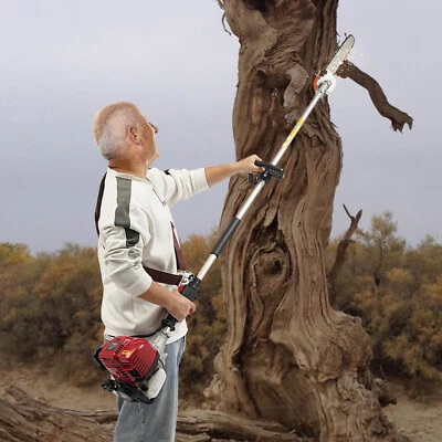 Sierra de poste de gas 43cc 4 tiempos motosierra de rama alta con poste de extensión 1,5 m Foto 1 de 4