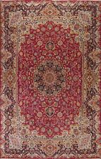 Floral Traditional Kashmar Area Rug 8x11 Hand-knotted Wool 