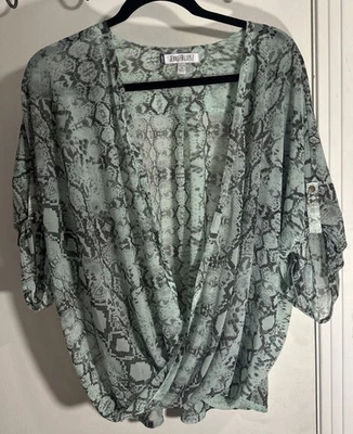 Jennifer Lopez Women's Mint Green V-neck Sheer Snake Print Blouse Size PXL - Image 1 of 4
