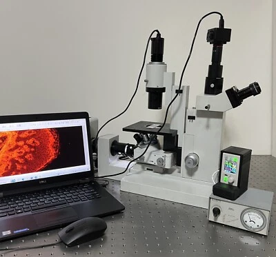 Leitz  Epivert Diavert Inverted Upgraded LED Fluorescence Phase Microscope - Image 1 of 4