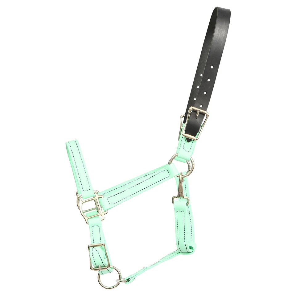 PFERDEGRÖSSE - FERTIG - meerschaumgrünes WEIDEHALFTER aus BETA BIOTHANE - Bild 1 von 1