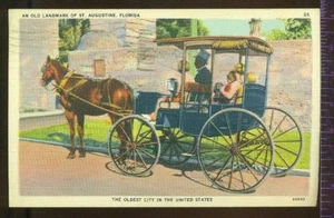 St Augustine Florida Horse & Carriage Vintage Postcard - Imagen 1 de 1