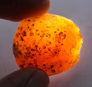 Oranger brauner Hessonit Granat 43,60 ct natürlicher Edelstein grob zertifiziert T13991 - Bild 1 von 6
