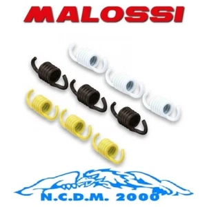 KIT SERIE MOLLE FRIZIONE RINFORZATE MALOSSI PIAGGIO SI 50 SENZA VARIATORE - Imagen 1 de 1