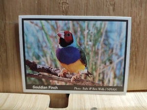 WEET BIX WWF 🏆1995 #7 GOULDIAN FINCH Threatened Wildlife Card🏆FREE POST - Picture 1 of 2