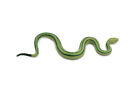 Baron's Green Racer Snake , Rubber Reptile, Realistic Model Toy5" F2041 B39