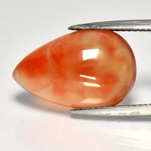 💎 8.81ct 18.5x12mm Pear Cabochon Natural Orange Chalcedony - Africa Gemstone - Picture 1 of 4