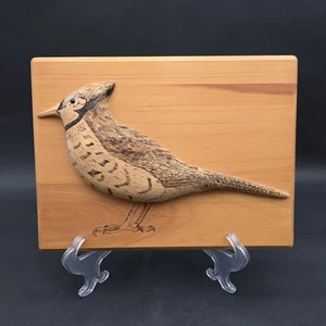 Geschnitztes Holz Blauer Eichelhäher Kardinal Vogel Wandbild 3D Holzbrand Pyrographie 12x8 signiert - Bild 1 von 8