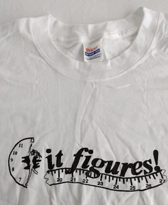 Hanes Heavyweight T-Shirt "It Figures!" Front Graphic Short Slv Wht 3XL #15462 - Picture 1 of 4