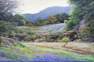 Lienzo firmado Hill Country Color por Larry Dyke Texas Bluebonnets paisaje 🧡 - Imagen 1 de 1