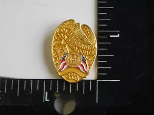 MINI PIN DE INSIGNIA DE POLICÍA THE MILLENNIUM SAN DIEGO AÑO 2000 - Imagen 1 de 2