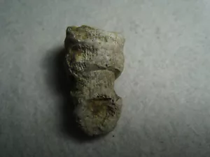 Seitlich montiertes Korallenhorn Stein antikes Fossil aus Kansas City USA 22,2 Gramm - Bild 1 von 20