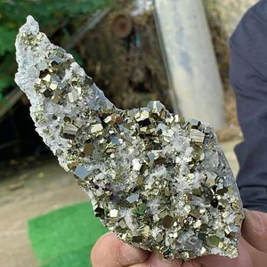 364G Top Natural Calcopirita Racimo de Cristal Mineral Espécimen Reiki - Imagen 1 de 19